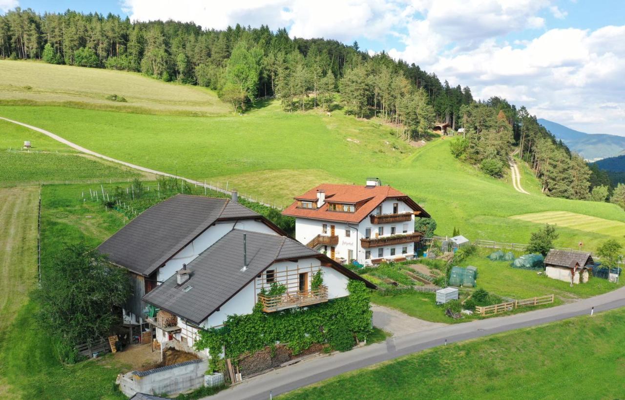 Holzerhof Lothen Campolino 5 Sankt Lorenzen エクステリア 写真